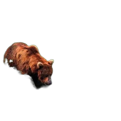 animal, creature, hair, dragon, 3d render, photorealistic, concept art, oil painting transparent PNG cut-out
