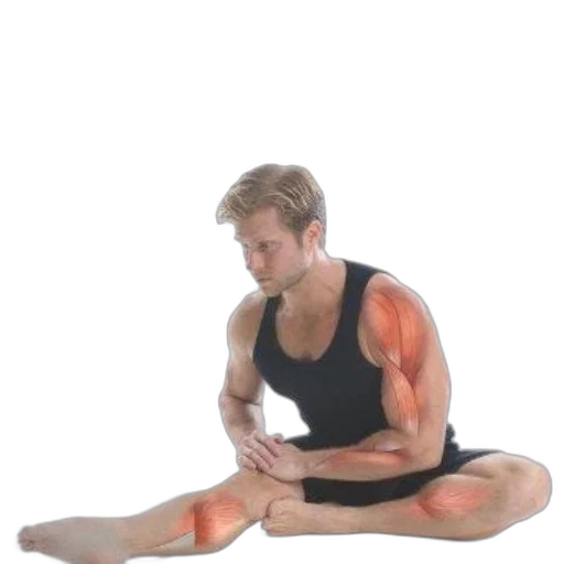 staff, concept art, photorealistic, 3d render, watercolor, anatomy, stretching, guide transparent PNG cut-out