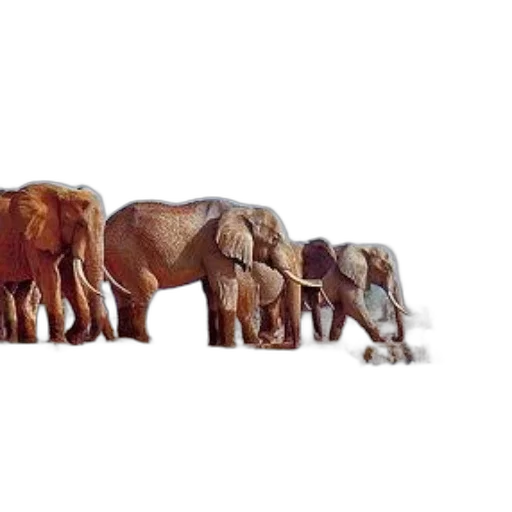 animal, concept art, photorealistic, 3d render, pencil sketch, earth tones, elephants, gather transparent PNG cut-out