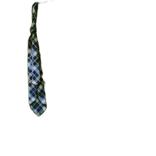 staff, jewelry, umbrella, weapon, green, blue, white, plaid transparent PNG cut-out