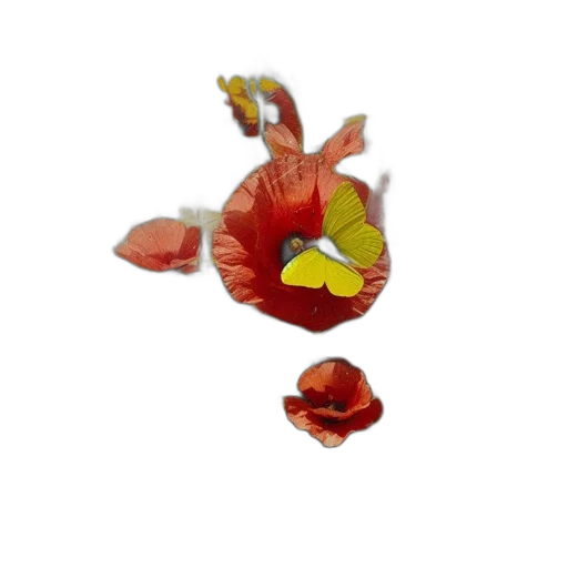 flower, crown, jewelry, dragon, 3d render, photorealistic, concept art, watercolor transparent PNG cut-out
