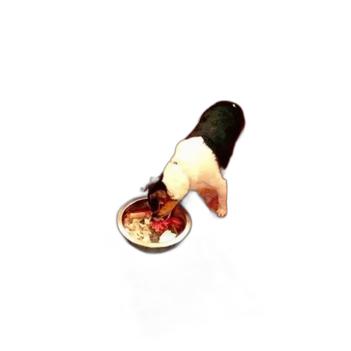 food, shoes, staff, weapon, 3d render, pixel art, concept art, photorealistic transparent PNG cut-out