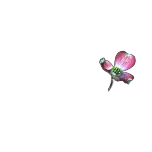 flower, weapon, jewelry, staff, pixel art, 3d render, photorealistic, concept art transparent PNG cut-out