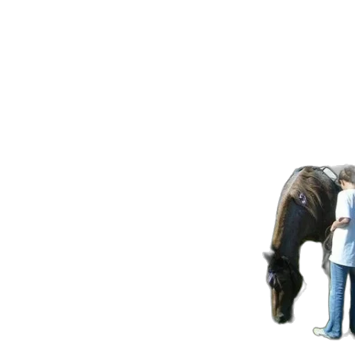 staff, animal, concept art, photorealistic, 3d render, pixel art, outer space, horse transparent PNG cut-out
