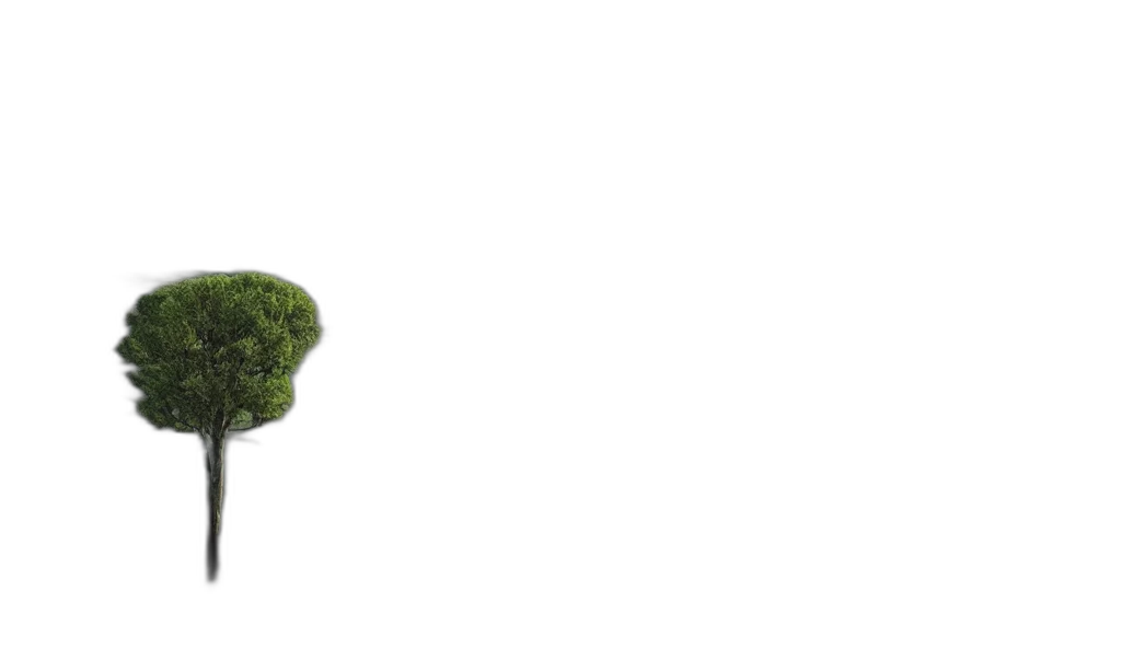 tree, crown, hair, umbrella, 3d render, photorealistic, concept art, pixel art transparent PNG cut-out