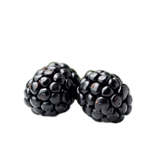crown, food, jewelry, 3d render, photorealistic, dark, close-up, image transparent PNG cut-out
