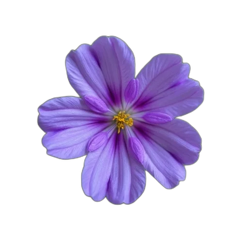 flower, crown, jewelry, staff, photorealistic, 3d render, oil painting, watercolor transparent PNG cut-out