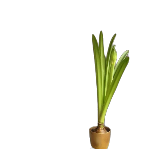 flower, staff, crown, weapon, 3d render, photorealistic, concept art, pixel art transparent PNG cut-out