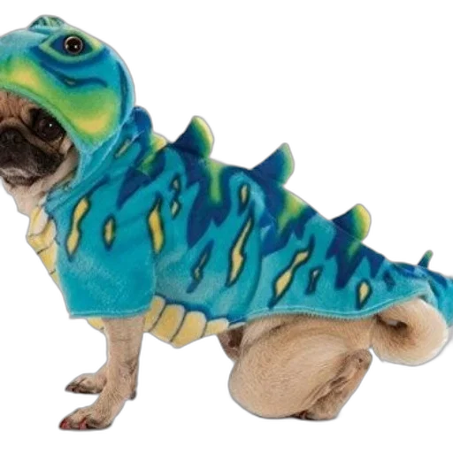 creature, dragon, animal, jacket, small, dog, dressed, blue transparent PNG cut-out