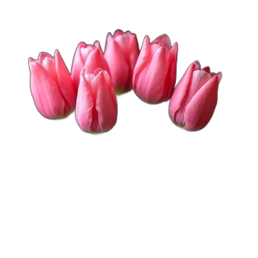 flower, crown, jewelry, food, 3d render, photorealistic, oil painting, watercolor transparent PNG cut-out