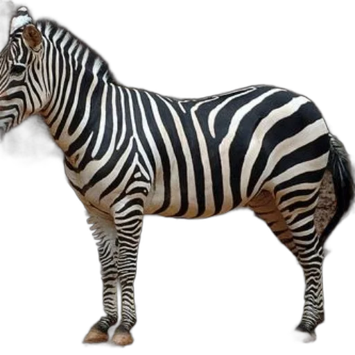 animal, creature, jewelry, furniture, 3d render, photorealistic, concept art, monochrome transparent PNG cut-out