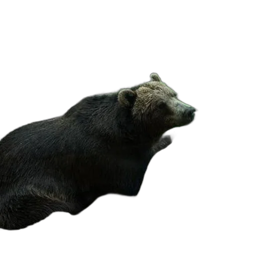 animal, creature, staff, dragon, 3d render, photorealistic, concept art, grizzly transparent PNG cut-out