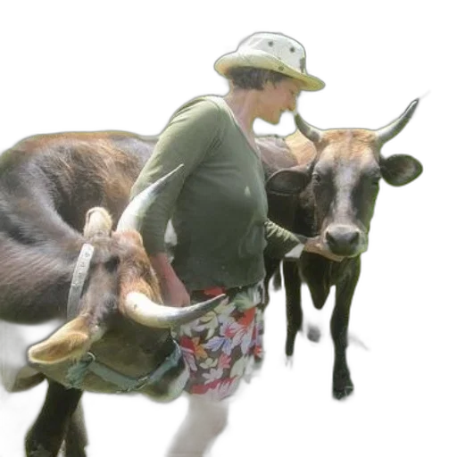 animal, hat, creature, concept art, photorealistic, 3d render, person, wearing transparent PNG cut-out