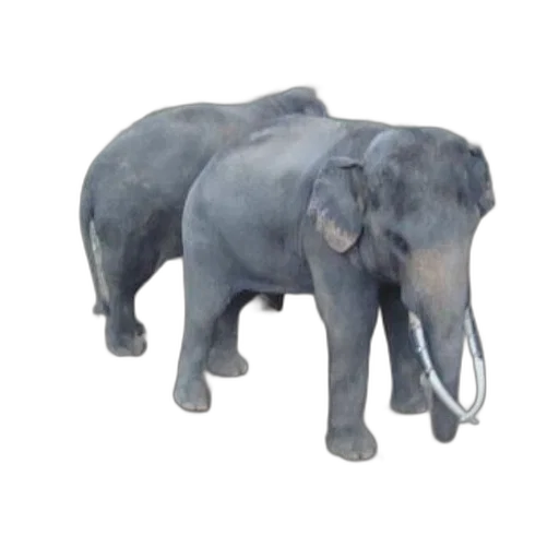 animal, creature, staff, 3d render, photorealistic, concept art, oil painting, two transparent PNG cut-out