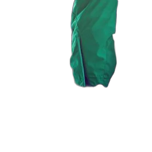 dress, jacket, staff, umbrella, 3d render, concept art, photorealistic, green transparent PNG cut-out