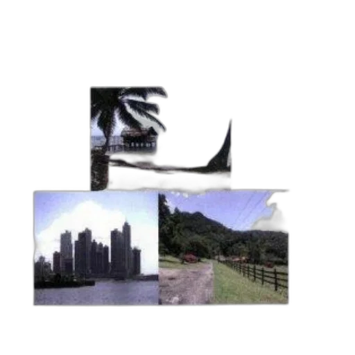 dragon, animal, building, shoes, photorealistic, 3d render, concept art, vaporwave transparent PNG cut-out