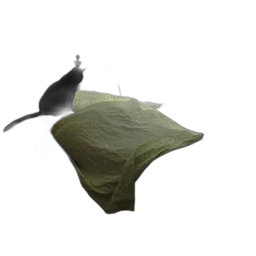 hat, animal, food, umbrella, 3d render, concept art, photorealistic, forest transparent PNG cut-out