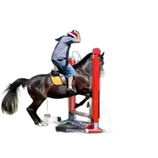 furniture, photorealistic, horse, rider, jump, over, obstacle, field transparent PNG cut-out