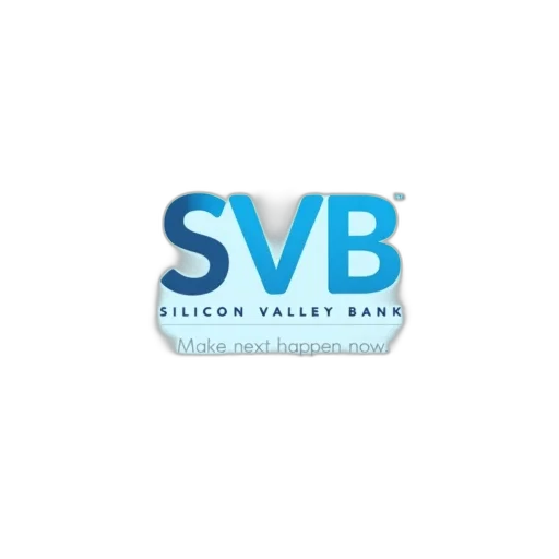 3d render, image, features, stylized, logo, letters, svb, blue transparent PNG cut-out