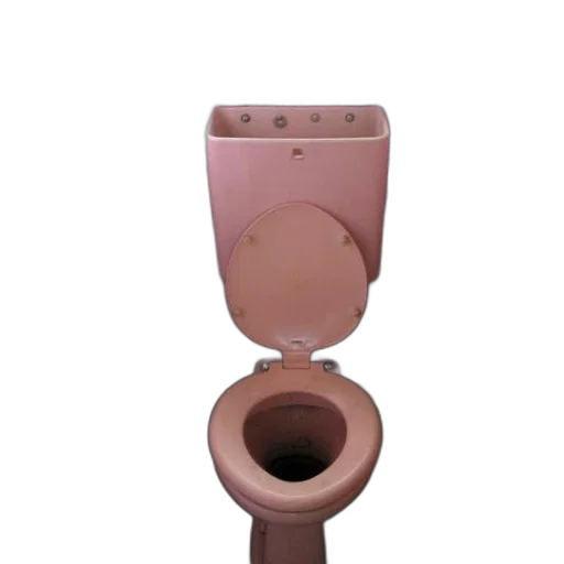 staff, robot, jewelry, weapon, 3d render, pink, toilet, floral transparent PNG cut-out