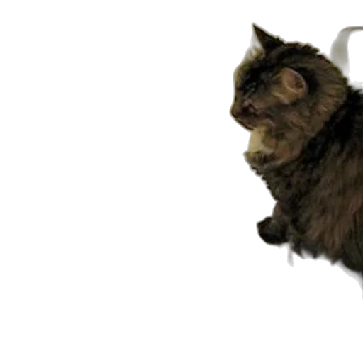 staff, animal, creature, 3d render, two, cats, sit, carpeted transparent PNG cut-out