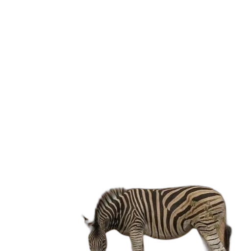 animal, creature, furniture, weapon transparent PNG cut-out