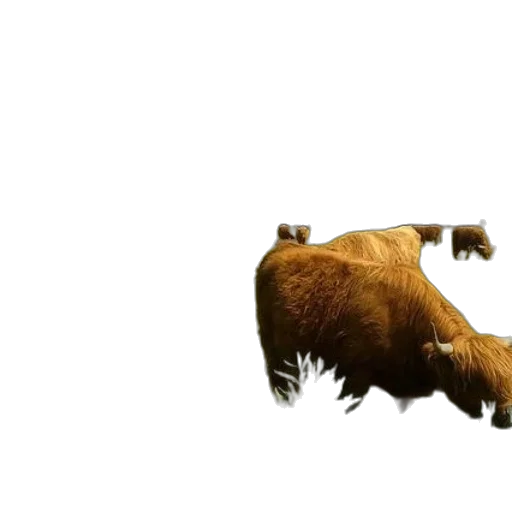 animal, creature, weapon, concept art, 3d render, photorealistic, pixel art, herd transparent PNG cut-out