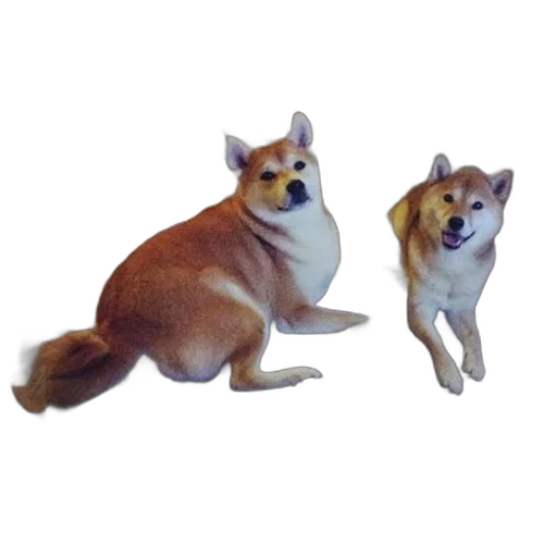 animal, creature, food, furniture, 3d render, photorealistic, concept art, vaporwave transparent PNG cut-out