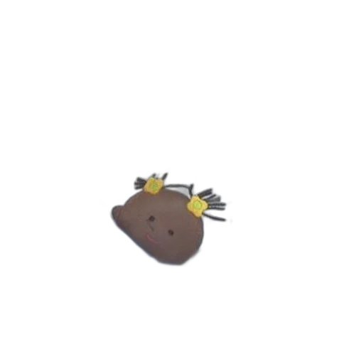 animal, creature, hat, hair transparent PNG cut-out