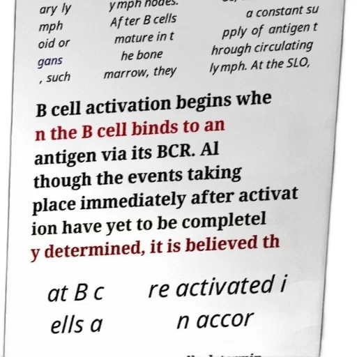 scientific, diagram, explaining, activation, cells, lymphoid, organs, highlighting transparent PNG cut-out