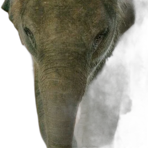 animal, creature, face, staff, photorealistic, concept art, 3d render, oil painting transparent PNG cut-out
