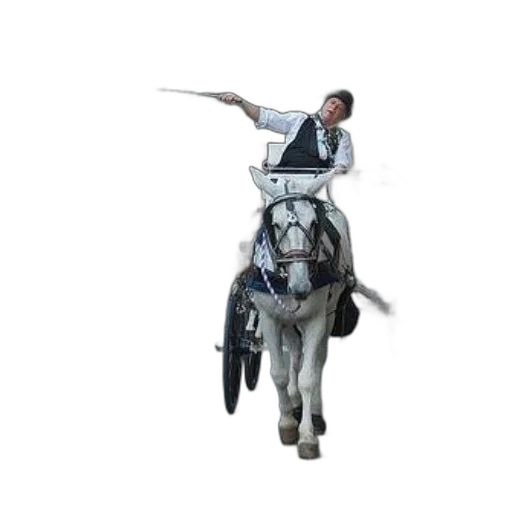 staff, animal, concept art, 3d render, man, vest, drives, horse-drawn transparent PNG cut-out