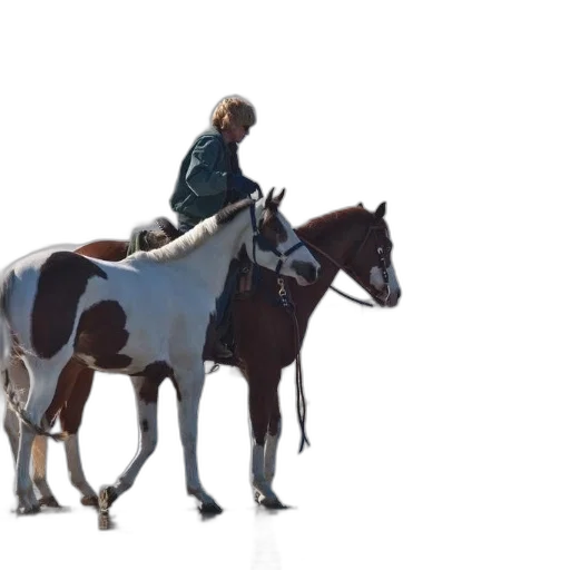 animal, staff, concept art, 3d render, photorealistic, oil painting, forest, earth tones transparent PNG cut-out