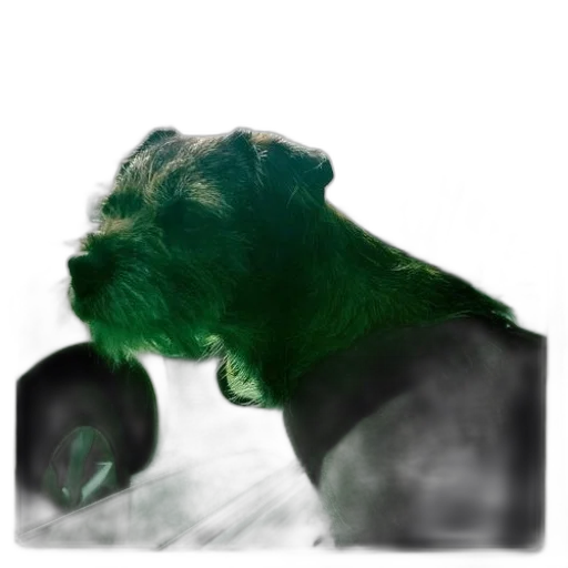 animal, creature, hair, face, photorealistic, concept art, 3d render, watercolor transparent PNG cut-out