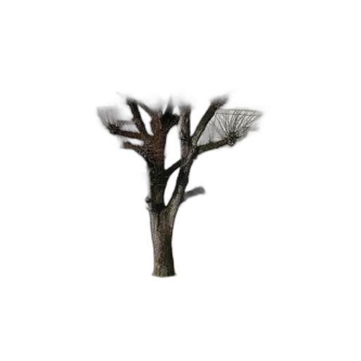 tree, crown, staff, furniture, 3d render, photorealistic, concept art, fantasy art transparent PNG cut-out