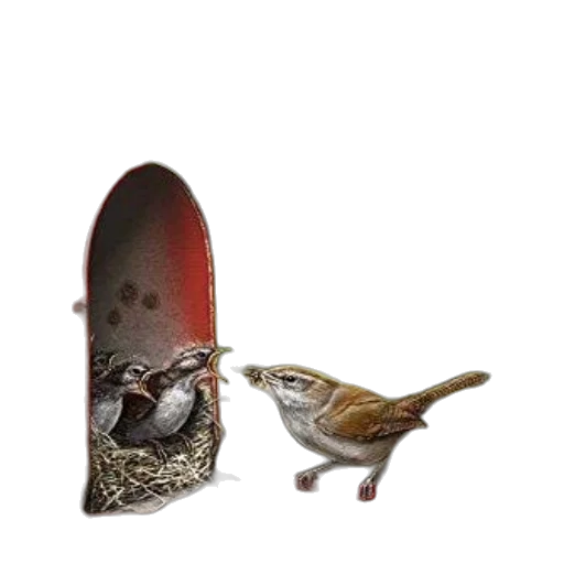 shoes, hat, animal, crown, photorealistic, 3d render, concept art, oil painting transparent PNG cut-out