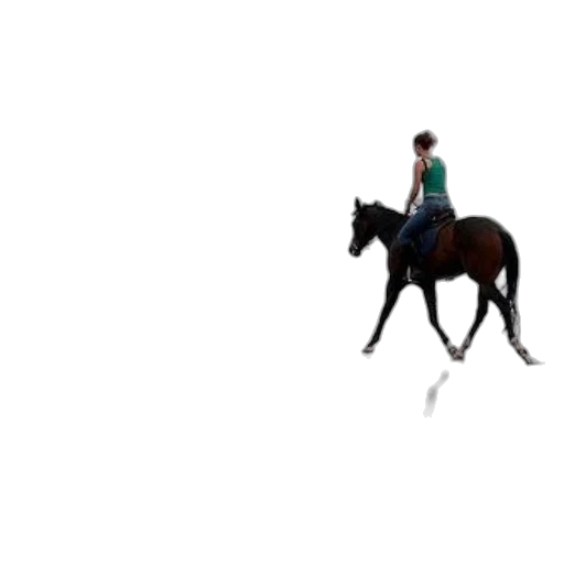 animal, creature, hat, staff, pixel art, concept art, 3d render, vaporwave transparent PNG cut-out