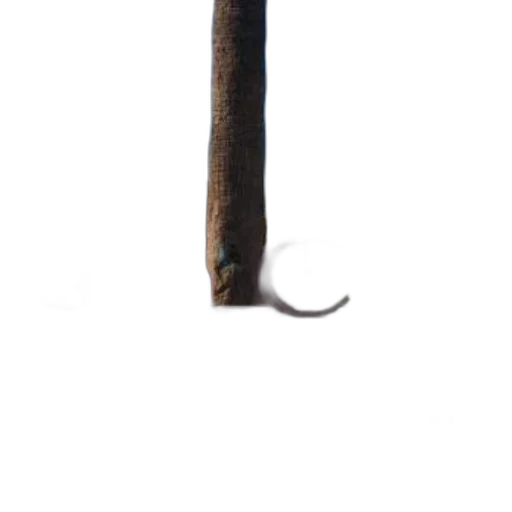 staff, sword, weapon, umbrella transparent PNG cut-out
