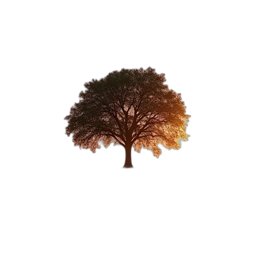 tree, crown, hair, animal transparent PNG cut-out