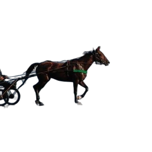 animal, car, staff, robot, 3d render, pixel art, concept art, photorealistic transparent PNG cut-out