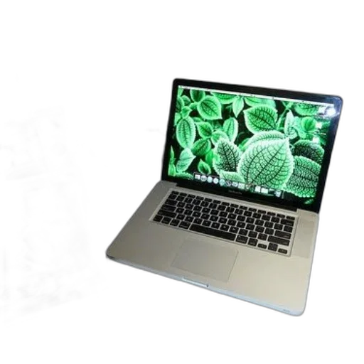 jewelry, flower, staff, crown, 3d render, photorealistic, green, laptop transparent PNG cut-out