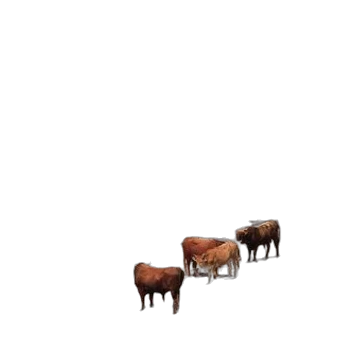 animal, furniture, food, creature, pixel art, 3d render, concept art, photorealistic transparent PNG cut-out