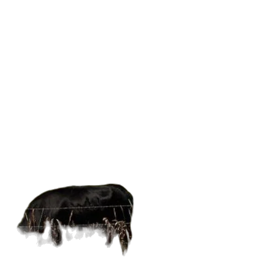 animal, hair, creature, furniture, concept art, photorealistic, 3d render, pixel art transparent PNG cut-out