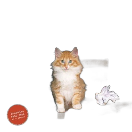 animal, creature, staff, calendar, cover, featuring, kitten, title transparent PNG cut-out