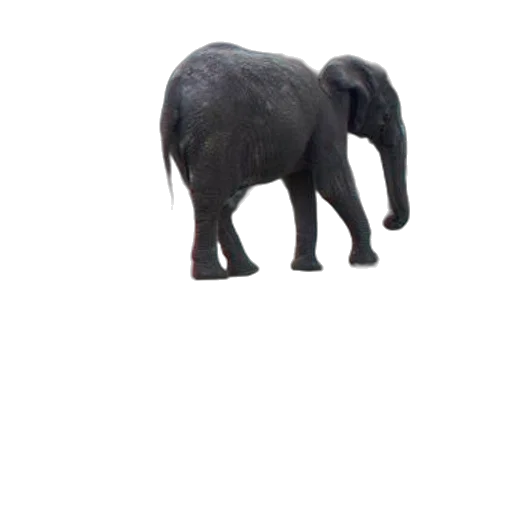 animal, creature, staff, hat, 3d render, concept art, photorealistic, pixel art transparent PNG cut-out