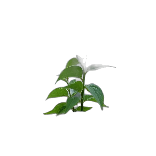 staff, flower, tree, dragon, 3d render, photorealistic, concept art, pixel art transparent PNG cut-out