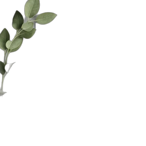 flower, weapon, staff, crown transparent PNG cut-out