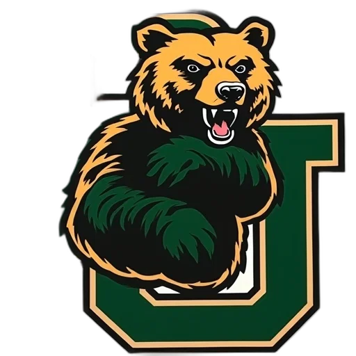 baylor, university, bear, bears transparent PNG cut-out
