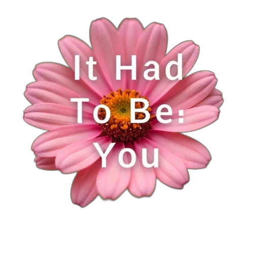 flower, jewelry, hat, hair, vaporwave, second, image, close-up transparent PNG cut-out