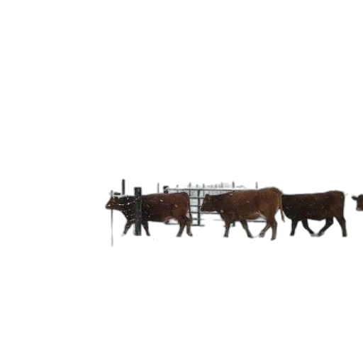 animal, furniture, weapon, car, 3d render, concept art, pixel art, photorealistic transparent PNG cut-out